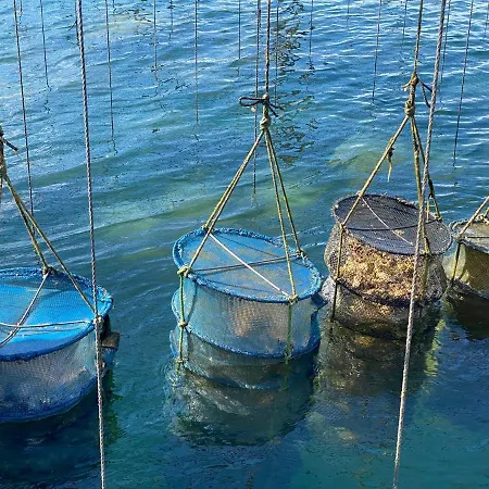 Ferienhaus Chats Perches Bouzigues